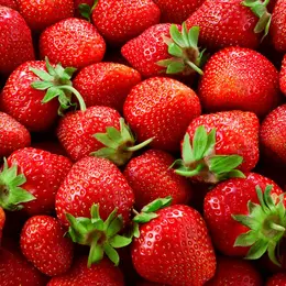 Où cueillir des fraises en Alsace ?
