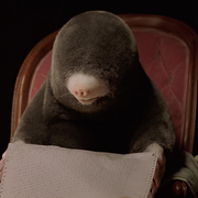 Où est Dolli ? (balade ludique 3/5 ans)