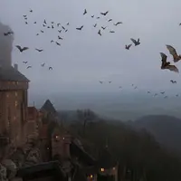 Où fêter Halloween 2026 en Alsace ? Ces parcs et châteaux vont vous faire frissonner &copy; Photo d'illustration