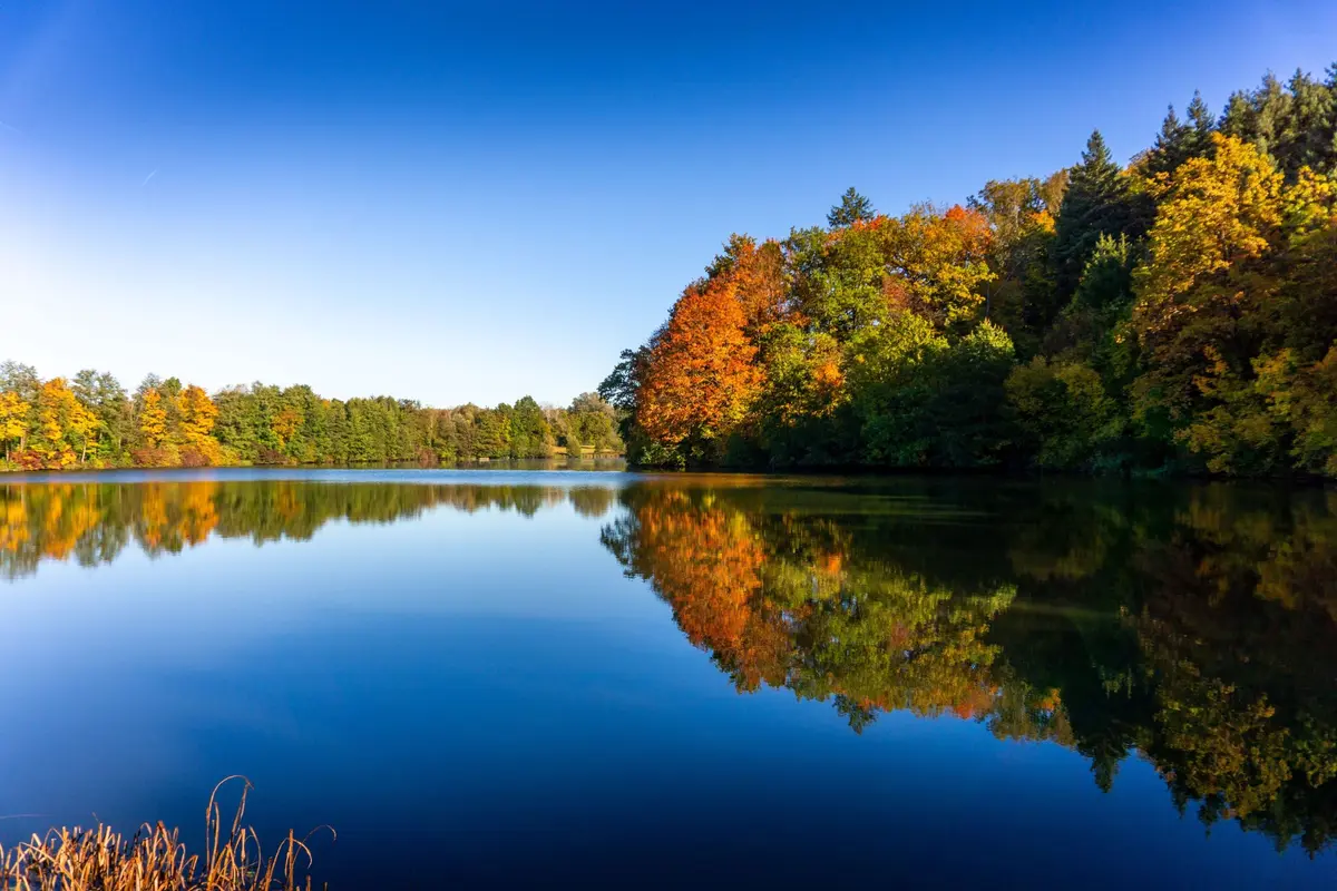 Le lac de Michelbach