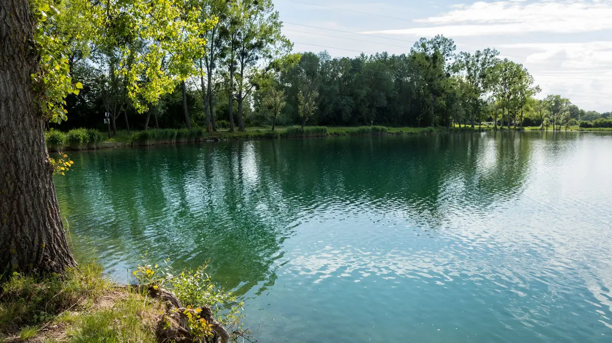 La gravière de Reichstett