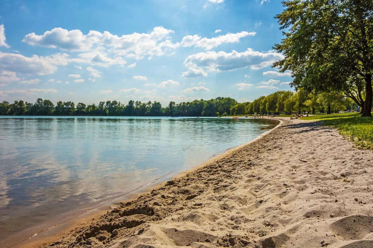 La plage des mouettes de Lauterbourg 