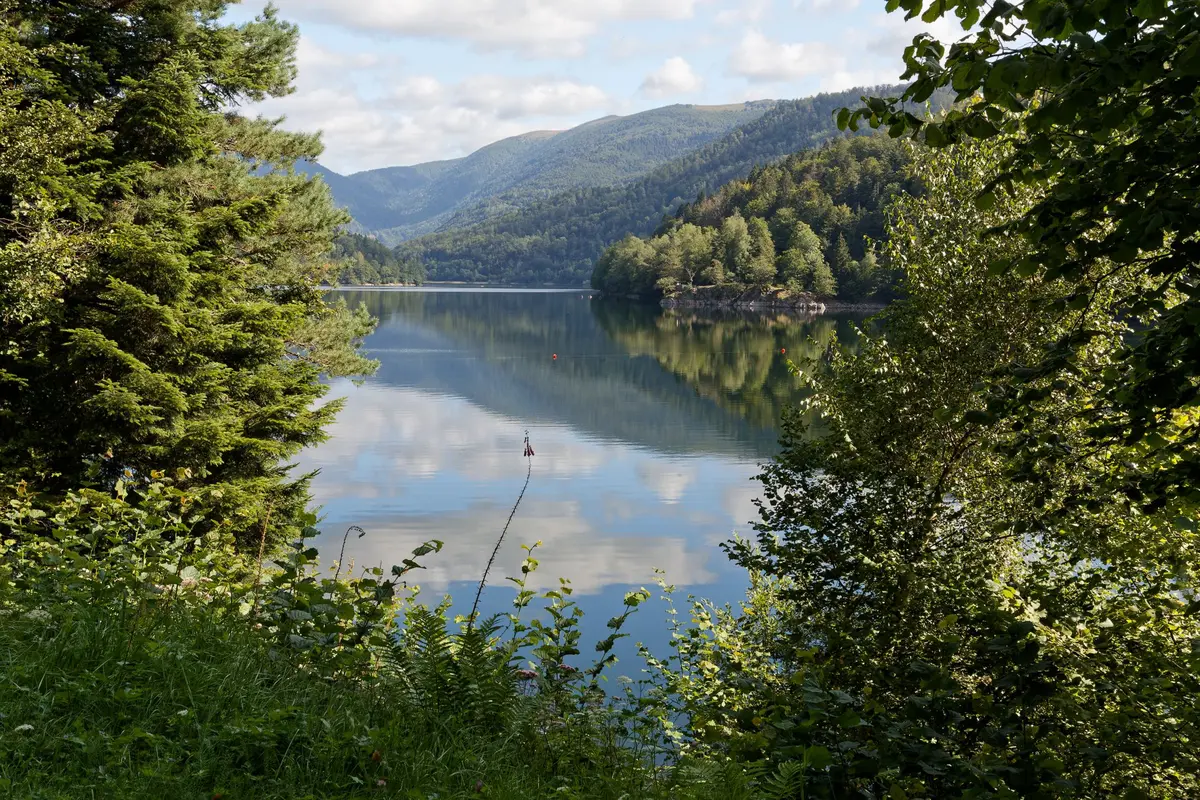 Au lac de Kruth Wildenstein, on peut lézarder sur la plage, jouer dans l'eau ou louer des pédalos ! 
