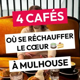 Cafés cosy Mulhouse : 4 adresses chaleureuses pour une pause gourmande
