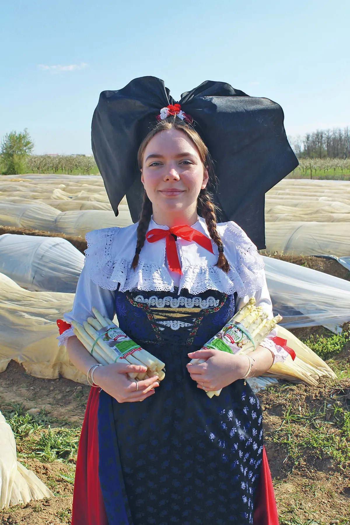 O&ugrave; trouver des asperges en Alsace ?