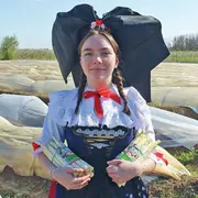 Où trouver des asperges en Alsace ?