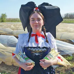 Où trouver des asperges en Alsace ?