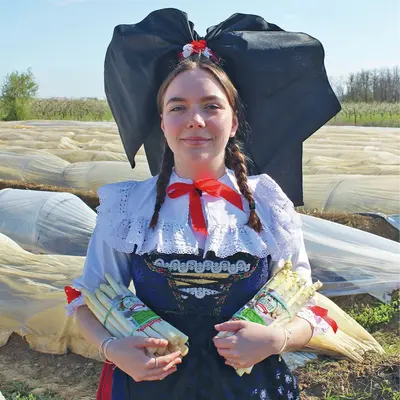 Où trouver des asperges en Alsace ?