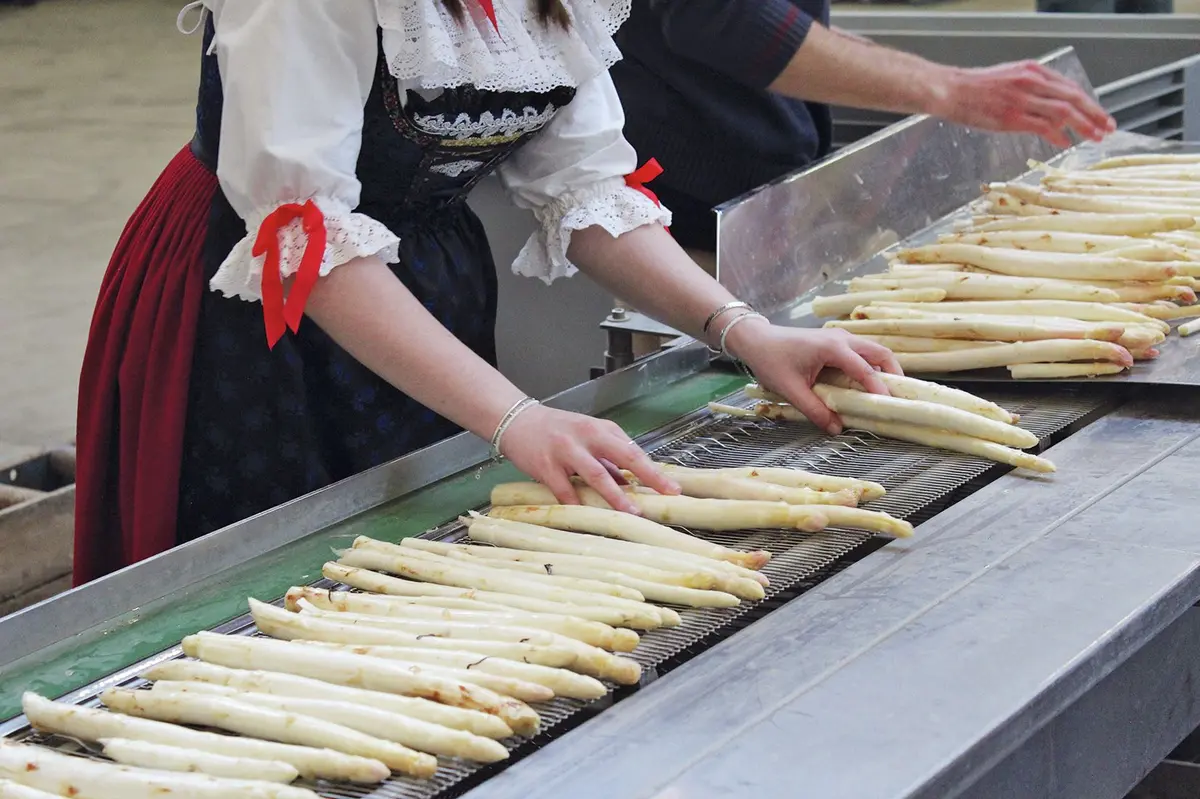 O&ugrave; trouver des asperges en Alsace ?