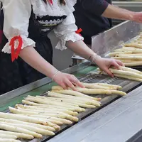 Où trouver des asperges en Alsace ? DR