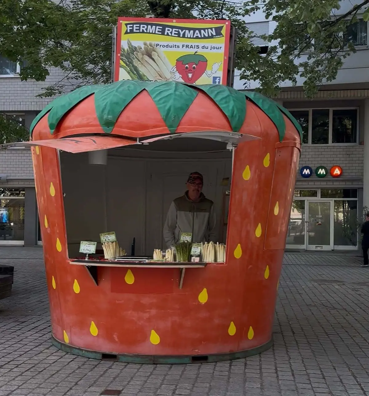 La saison des asperges est lanc&eacute;e en Alsace