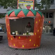 Où trouver des asperges en Alsace ?