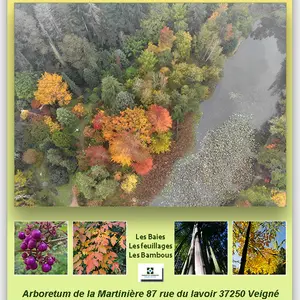 Ouverture de l'Arboretum de la Martinière