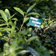 Ouverture des Jardins de la Régie