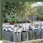 Ouverture du jardin de la poterie pour la recherche médicale