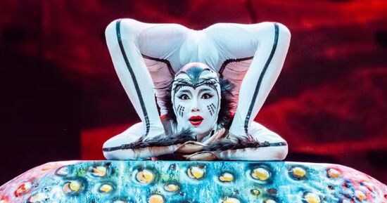 Ovo - Cirque du Soleil - Adidas Arena, Paris