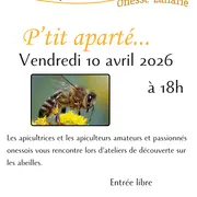 P'tit aparté sur les abeilles