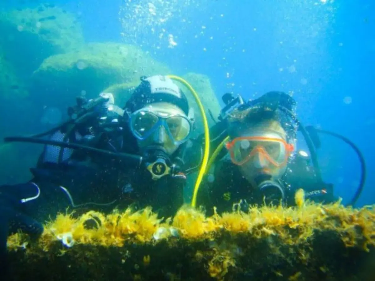 Pack découverte 2 plongées aux Iles Sanguinaires (20)