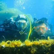 Pack découverte 2 plongées aux Iles Sanguinaires (20)