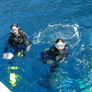 Pack découverte 2 plongées en baie de Villefranche (06)