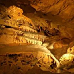 Pack Découverte visite des grottes de la Norée / Atelier scientifique de l'Ecole de l'ADN