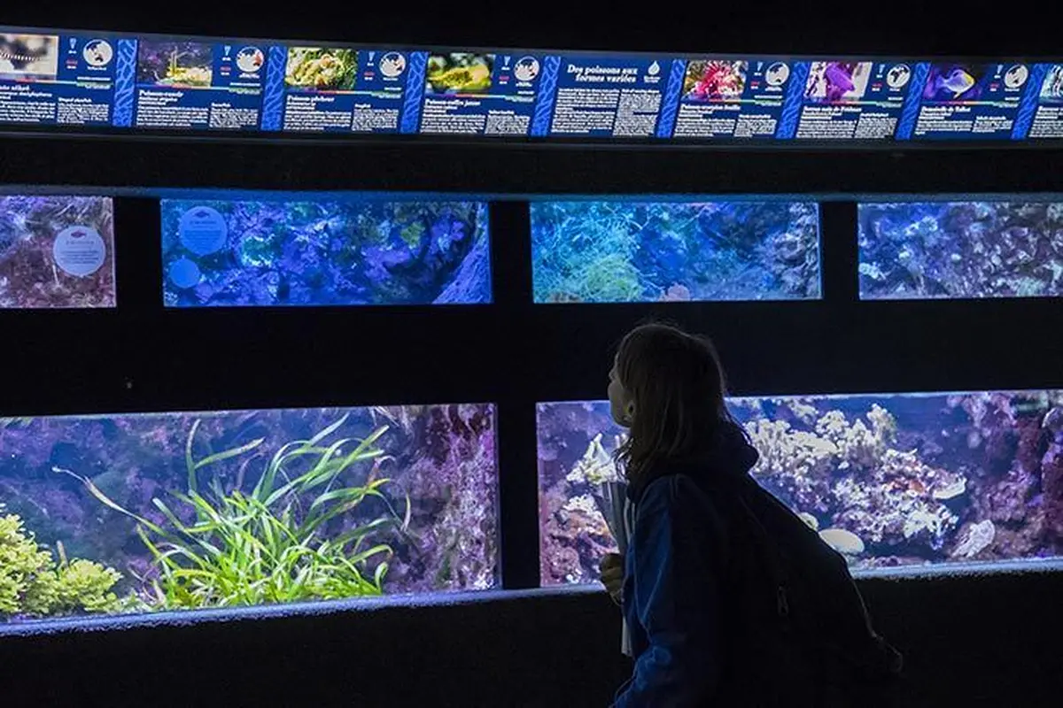 Palais de la Porte Dorée