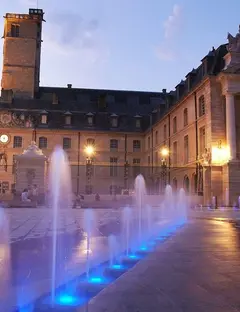 Palais des Ducs et des Etats de Bourgogne à Dijon
