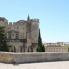 Palais des papes et jardins : Billet d'entrée