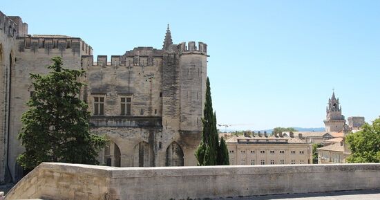 Palais des papes et jardins : Billet d'entr&eacute;e