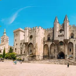 Palais des Papes & Pont d'Avignon : Billet d'entrée