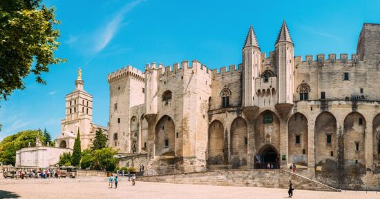 Palais des Papes & Pont d'Avignon : Billet d'entr&eacute;e