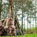 Paléo'Bivouac : une journée dans la vie d'un Cro-Magnon !