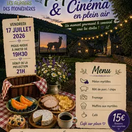 Paniers Pique-Nique et Cinéma