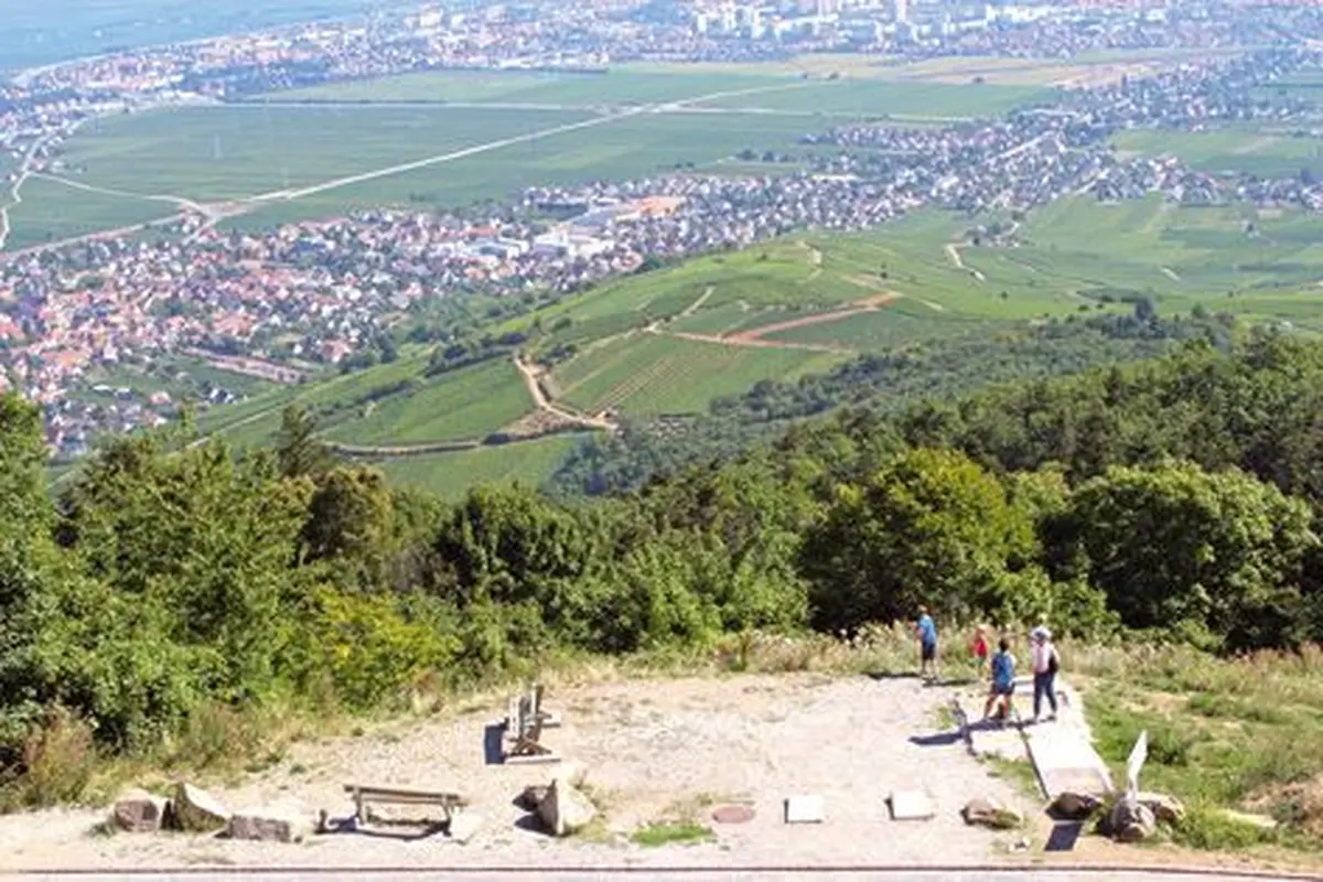 Panorama sur la Plaine d'Alsace