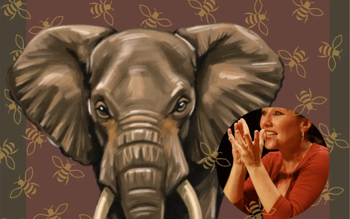 Contes d'animaux par Nathalie Le Boucher