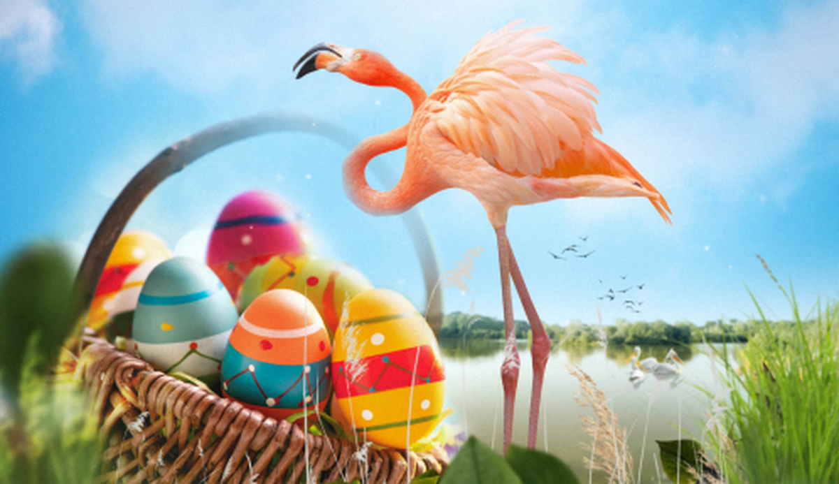 Pâques à la Réserve de la Haute Touche