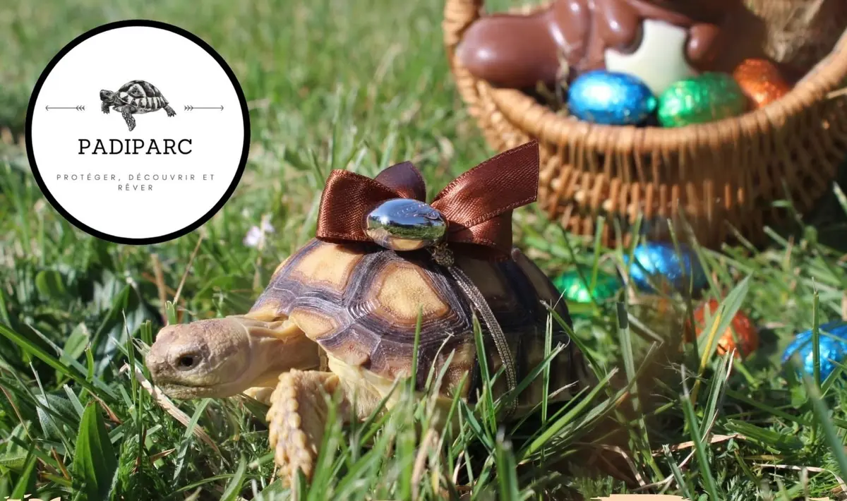 Pâques à Padiparc