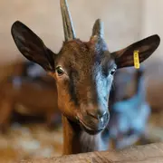 Pâques en famille à La Ferme de Clossy