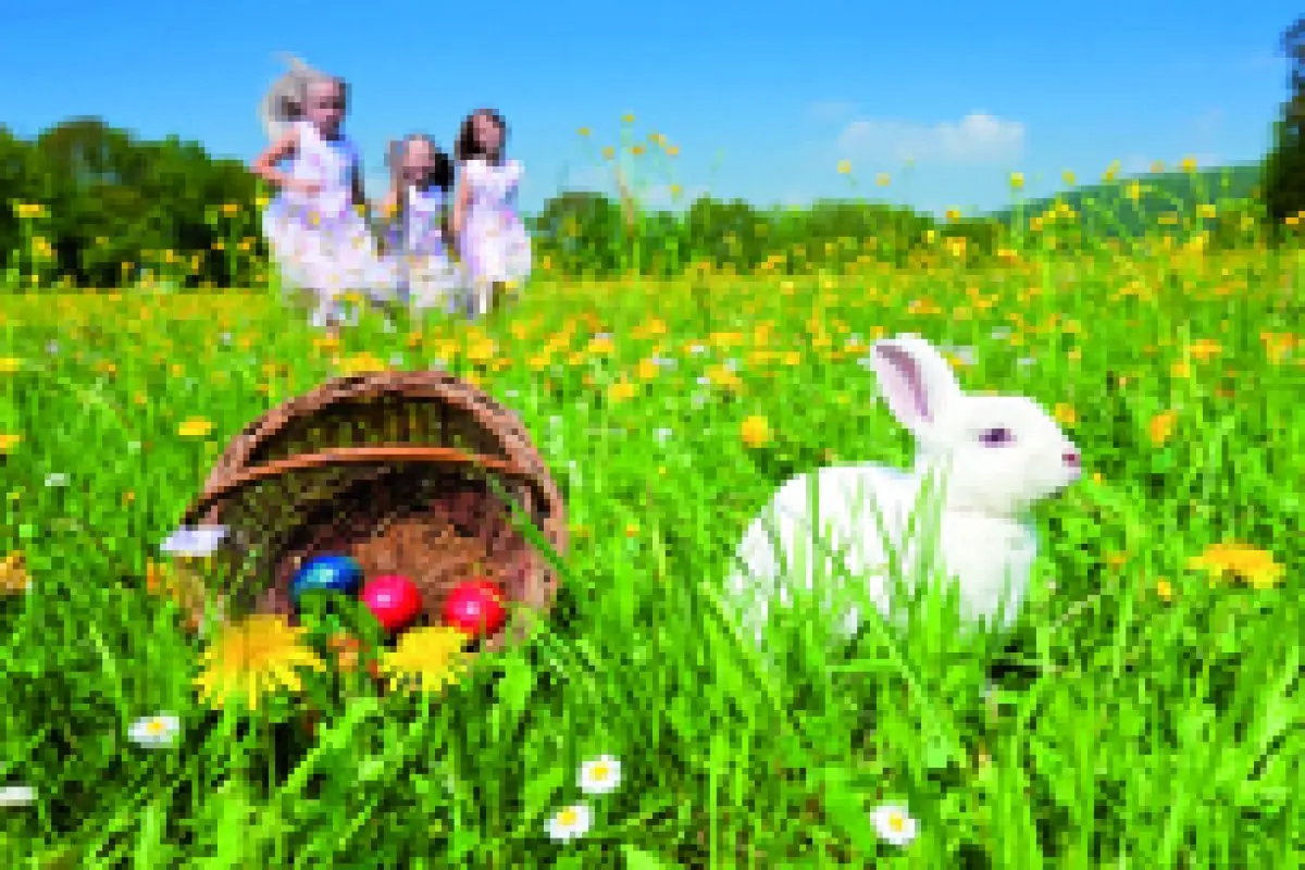 Pâques ne pose jamais de lapin !