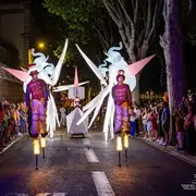 Parade Lumineuse