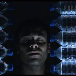 Paradoxal
