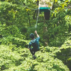 Parc Accrobranche à Chaville (92)
