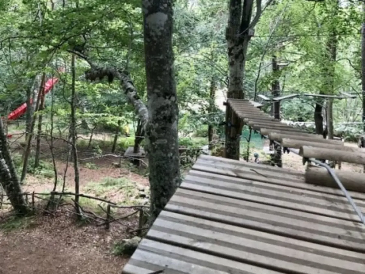 Parc Accrobranche à Chazelles-sur-Lavieu (42)