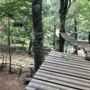 Parc Accrobranche à Chazelles-sur-Lavieu (42)