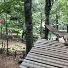 Parc Accrobranche à Chazelles-sur-Lavieu (42)