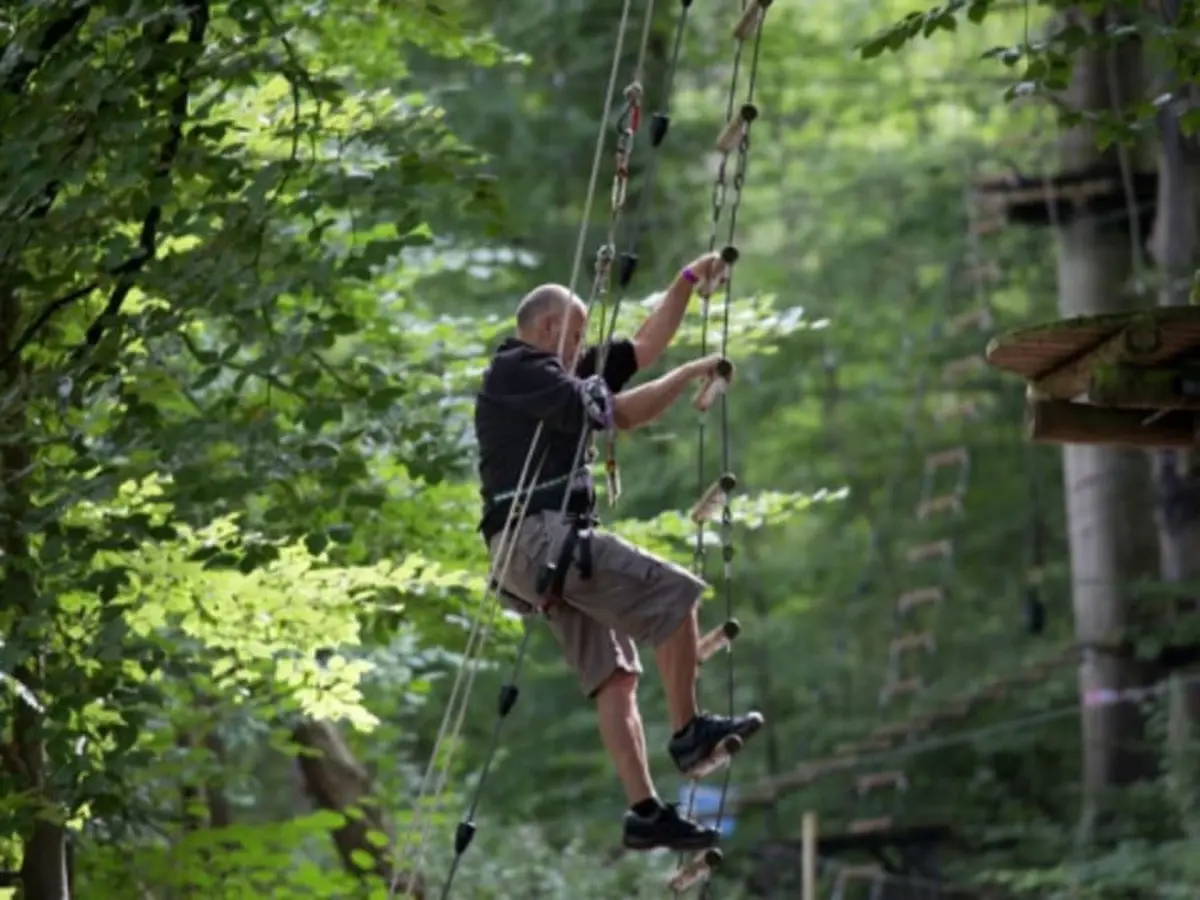 Parc Accrobranche à Dénestanville (76)
