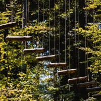 Parc Alsace Aventure DR