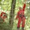 Parc Alsace Aventure&nbsp;: les arbres pour terrain de jeux&nbsp;! DR