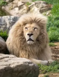 Parc animalier de Casteil