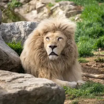 Parc animalier de Casteil